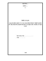 TIỂU LUẬN   điều kiện và các giải pháp phát triển kinh tế thị trường định hướng xã hội chủ nghĩa ở việt nam