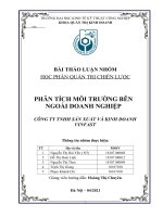 PHÂN TÍCH MÔI TRƯỜNG BÊN NGOÀI CÔNG TY TNHH SẢN XUẤT VÀ KINH DOANH VINFAST