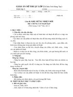 giáo án mĩ thuật lớp 2 (học kỳ 2) sách chân trời sáng tạo