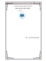 LUẬN VĂN PHÂN TÍCH KẾ HOẠCH VÀ CHIẾN LƯỢC KINH DOANH  TH True Milk