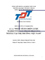 ĐỀ tài PHÂN TÍCH CHIẾN lược MARKETING sản PHẨM MILO của NESTLE tại THỊ TRƯỜNG VIỆT NAM 