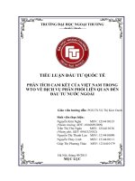 PHÂN TÍCH CAM kết của VIỆT NAM TRONG WTO về DỊCH vụ PHÂN PHỐI LIÊN QUAN đến đầu tư nước NGOÀI 