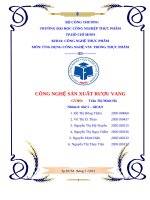 TIỂU LUẬN ĐỀ TÀI NGHIÊN CỨU CÔNG NGHỆ SẢN XUẤT RƯỢU VANG