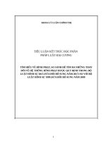 tiểu luận pháp luật đại cương