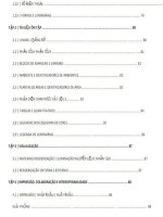 Giáo trình hướng đẫn phần mềm revit ( Apostila revit )