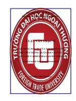 Hoạt động đầu tư của Tập đoàn Công nghiệp Viễn thông Quân đội Viettel tại các nước Campuchia Lào Myanmar.