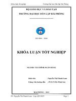Các biện pháp phòng ngừa và hạn chế rủi ro tại ngân hàng thương mại cổ phần quân đội chi nhánh bắc hải 