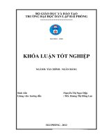 Luận văn giải pháp nâng cao hiệu quả hoạt động tín dụng tại ngân hàng thương mại cổ phần nam việt chi nhánh hải phòng 