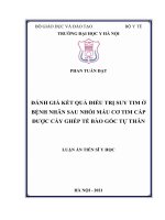 Đánh giá kết quả điều trị suy tim ở bệnh nhân sau nhồi máu cơ tim cấp được cấy ghép tế bào gốc tự thân