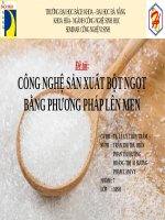 Đề tài  CÔNG NGHỆ sản XUẤT bột NGỌT BĂNG PHƯƠNG PHAP lên MEN 