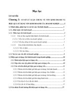 Luận văn một số biện pháp nâng cao hiệu quả sử dụng vốn kinh doanh tại xí nghiệp dịch vụ trục vớt công trình 