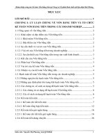 Luận văn hoàn thiện công tác kế toán vốn bằng tiền tại công ty cổ phần hoá chất vật liệu điện hải phòng 