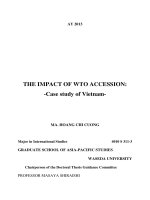 Luận văn the impact of WTO accession case study of vietnam 