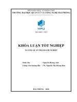 Luận văn nâng cao hiệu quả quản lý và sử dụng nguồn nhân lực tại công ty TNHH thương mại dịch vụ điện lạnh minh phú 