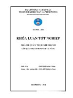 Luận văn một số giải pháp nâng cao hiệu quả sử dụng nguồn nhân lực tại khách sạn level thuộc công ty cổ phần đầu tư và du lịch LV 