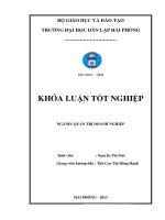 Luận văn một số biện pháp nâng cao hiệu quả sử dụng nguồn nhân lực tại công ty cổ phần phát triển công nghiệp tàu thủy nam sơn 