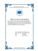 Đề tài dịch vụ đào tạo và chuyển giao công nghệ phân tích kháng sinh tại các nhà máy sản xuất chế biến thủy sản vùng đồng bằng sông cửu long của trung tâm nghiên cứu và đào tạo indochina center of excellence 