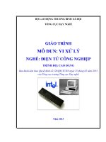 GIÁO TRÌNH  MÔ ĐUN: VI XỬ LÝ NGHỀ: ĐIỆN TỬ CÔNG NGHIỆP TRÌNH ĐỘ: CAO ĐẲNG