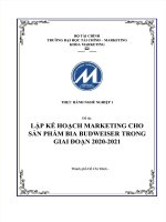 Lập kế hoạch marketing cho sản phẩm bia budweiser trong giai đoạn 2020 2021