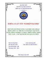 Khóa luận một số giải pháp nâng cao hiệu quả hoạt động cho vay trung và dài hạn tại ngân hàng nông nghiệp và phát triển nông thôn việt nam – chi nhánh huyện quảng điền 