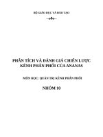 ANANAS - PT VÀ ĐÁNH GIÁ CHIẾN LƯỢC KÊNH PHÂN PHỐI CỦA THƯƠNG HIỆU ANANAS
