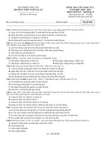Đề thi giữa học kì 1 môn Lịch sử lớp 12 năm 2020-2021 có đáp án - Trường THPT Ngô Gia Tự