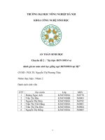 Chuyên đề 2 sự kiện MON 89034 và đánh giá an toàn sinh học giống ngô MON89034 tại mỹ 