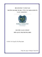 Bài tiểu luận cuối kỳ môn quản trị thương hiệu