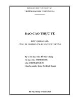 (Báo cáo thực tế) CÔNG TY CỔ PHẦN TMDVSX VIỆT THƯƠNG