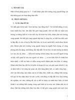 SKKN một số biện pháp giúp trẻ 5 – 6 tuổi khám phá môi trường xung quanh bằng vật thật thông qua các hoạt động thực tiễn  