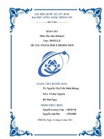 Báo cáo môn Học máy thống kê: Stock price prediction