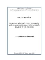 Luận văn Tài liệu Nâng Cao Năng Lực Cạnh Tranh Của Ngân Hàng Thương Mại Việt Nam Trên Địa Bàn TP. Hồ Chí Minh