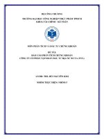 ĐỀ tài báo cáo PHÂN TÍCH CHỨNG KHOÁN CÔNG TY cổ PHẦN tập đoàn đầu tư địa ốc NO VA (NVL) 