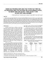 Nhân hai trường hợp ung thư tuyến tụy tiến xa  di căn được điều trị với phác đồ mFOLFIRINOX (mFFX) tại Bệnh viện Ung Bướu: Tổng quan y văn và đúc kết kinh nghiệm