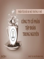 PHÂN TÍCH rủi RO môi TRƯỜNG VI mô CÔNG TY cổ PHẦN tập đoàn TRUNG NGUYÊN 