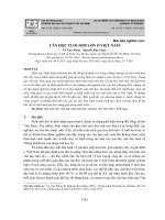 Văn học tuổi mới lớn ở Việt Nam