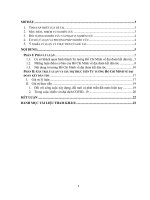 Tiểu luận kết thúc học phần môn Tư Tưởng Hồ Chí Minh