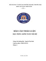 Bài thảo luận kiểm toán nội bộ (Bài 11) TMU