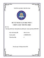 ĐỀ tài  xây dựng chiến lược thương hiệu sản phẩm giày ananas giai đoạn 2020 2025