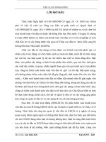 TIEU LUAN  xử lý tình huống trong kiểm soát xây dựng cơ bản