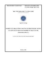 Tài liệu Nghiên cứu hoạt tính cảm ứng sự hình thành xương của dẫn xuất polysaccharide từ hạt cây me (Tamarindus indica L.)