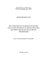 Phát triển đội ngũ cán bộ đoàn thanh niên cộng sản hồ chí minh ở các trường trung học phổ thông trên địa bàn huyện phù mỹ, tỉnh bình định 