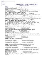 Đề thi giữa học kì 1 môn Lịch sử lớp 6 năm 2020-2021 có đáp án - Trường THCS Nguyễn Huệ