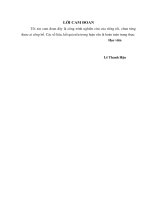 Nghiên cứu tỷ lệ mắc, các chỉ số véc tơ và mức độ nhạy cảm với hóa chất diệt côn trùng của muỗi truyền bệnh sốt xuất huyết dengue tại một số địa bàn trọng điểm ở tỉnh bình định năm 2016 