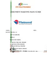 ASSIGNMENT MAKETING MẠNG xã hội công ty cổ phần vietravel 