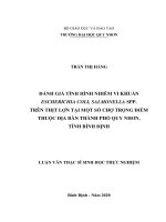 Đánh giá tình hình nhiễm vi khuẩn escherichia coli, salmonella spp  trên thịt lợn tại một số chợ trọng điểm thuộc địa bàn thành phố quy nhơn, tỉnh bình định 