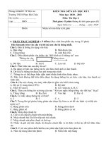 Đề thi giữa học kì 1 môn Tin học lớp 6 năm 2020-2021 có đáp án - Trường THCS Phan Bội Châu