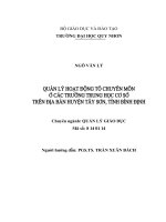 Quản lý hoạt động tổ chuyên môn ở các trường trung học cơ sở trên địa bàn huyện tây sơn, tỉnh bình định 
