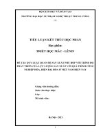 TIỂU LUẬN   quy luật quan hệ sản xuất phù hợp với trình độ phát triển của lực lượng sản xuất với quá trình công nghiệp hóa, hiện đại hóa ở việt nam hiện nay
