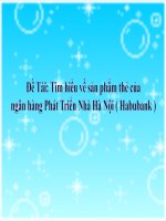 Thuyết trình về: sản phẩm thẻ của ngân hàng phát triển nhà hà nội habubank